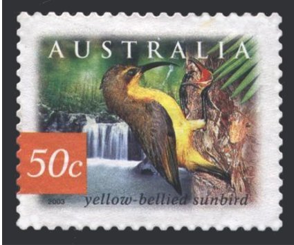 Yellow-bellied sunbird (Nectarinia jugularis)