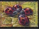 Cardinal Ladybird (Rodolia cardinalis) 