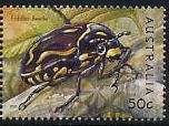 Fiddler Beetle (Eupoecila australasiae)