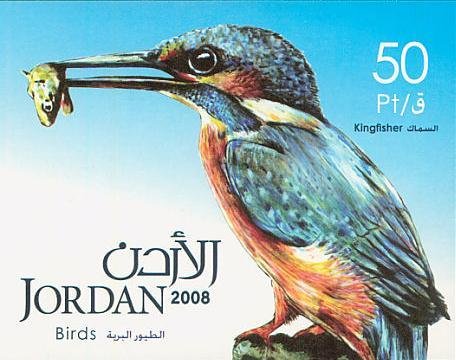 Common Kingfisher (Alcedo atthis)