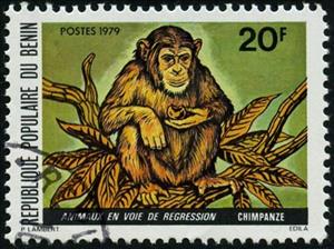 Stamp, Chimpanzee (Pan troglodytes), Benin,  , Animals (Fauna)