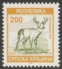 Red Deer (Cervus elaphus)