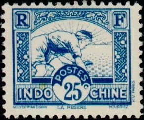 Stamp, Paddy Field, French Indochina,  , Agriculture