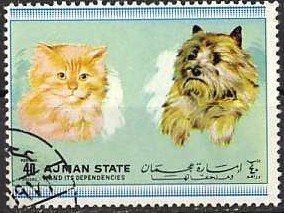 Cat and Dog