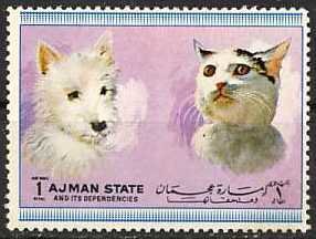 Dog and cat