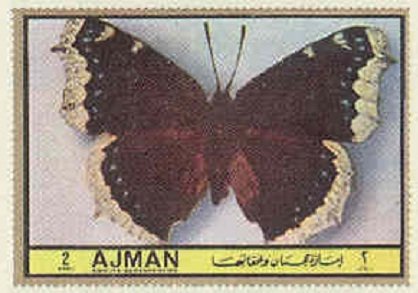 Stamp, Vanessa antiopa, Ajman,  , Insects, Butterflies, Animals (Fauna)