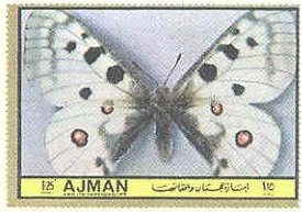 Parnassius apollo