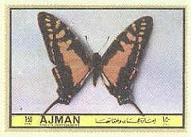 Papilio thyastes
