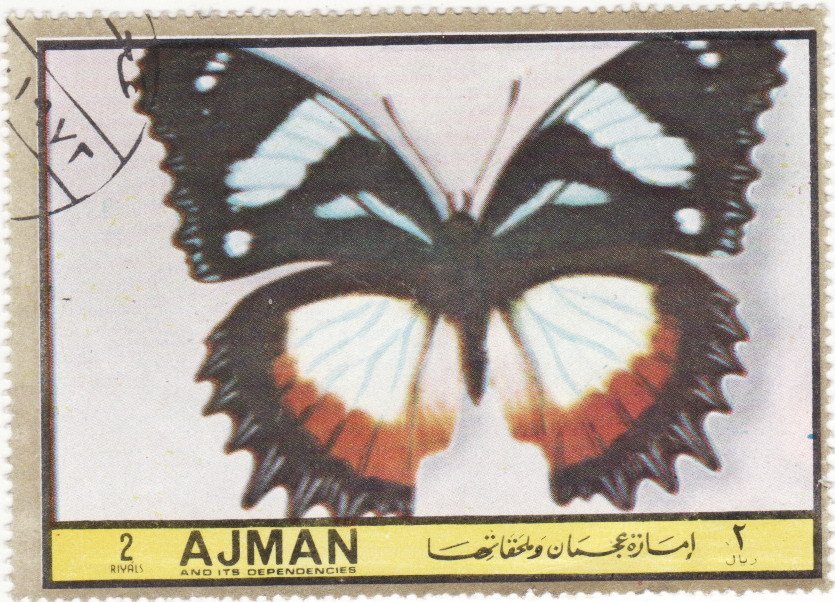 Hypolimnas dexithea