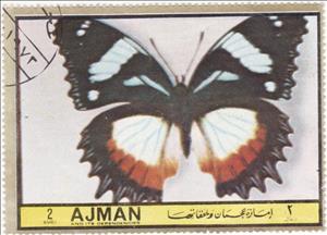 Stamp, Hypolimnas dexithea, Ajman,  , Butterflies