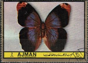 Stamp, Caligo beltrao, Ajman,  , Birds, Insects, Butterflies, Animals (Fauna)