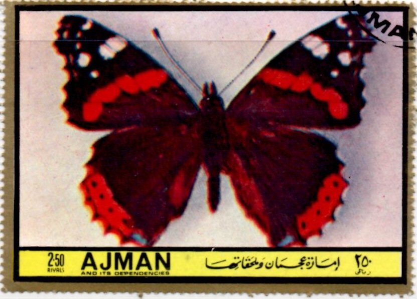 Vanessa atalanta