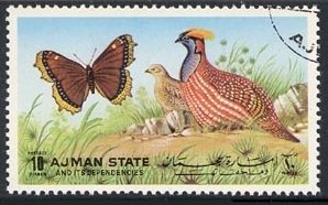 Butterflies and Birds