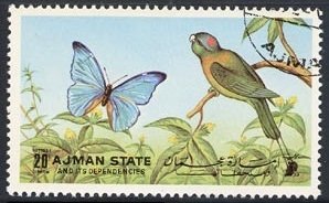Butterflies and Birds