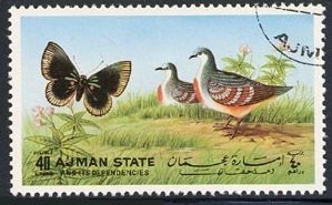 Butterflies and Birds