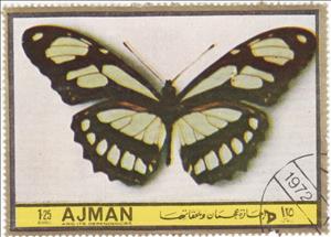 Stamp, Metamorpha dido, Ajman,  , Insects, Butterflies, Animals (Fauna)