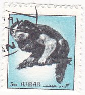 Mammals