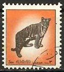 Mammals