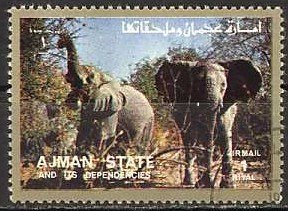 Elephants