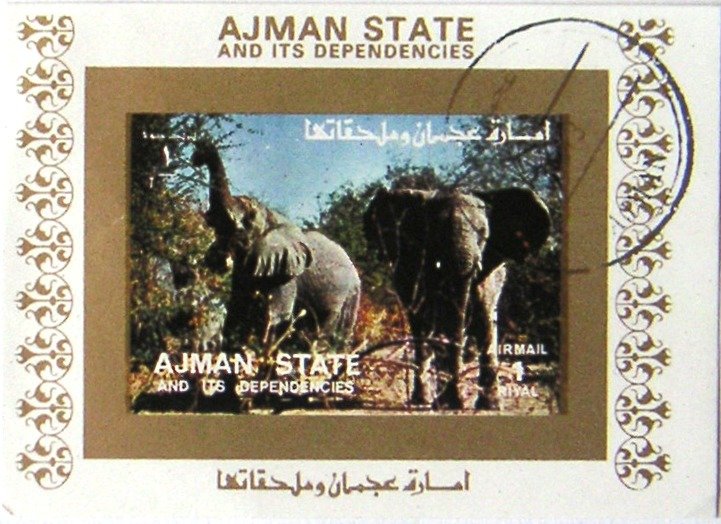 Elephants