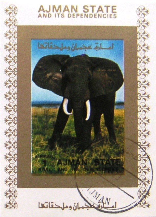 Elephant