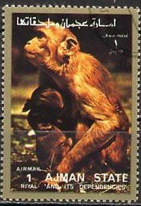 Monkey