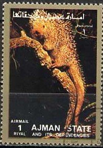 Animal