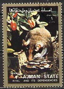 Animal