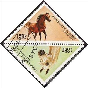 Se-tenant, Horse, Benin,  , Animals (Fauna), Horses, Mammals, Triangle Stamps