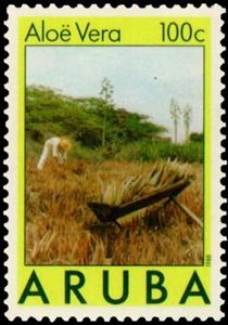 Stamp, Harvest, Aruba,  , Cacti