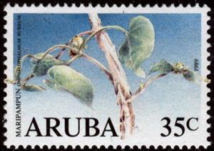 Stamp, Leaves, Aruba,  