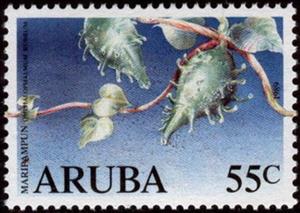 Stamp, Pods, Aruba,  
