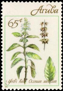 Stamp, Ocimum sanctum, Aruba,  , Plants (Flora)