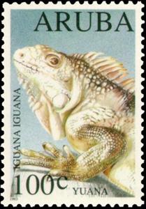 Stamp, Green Iguana (Iguana iguana), Aruba,  , Lizards