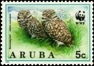 Stamp, Burrowing Owl (Speotyto cunicularia), Aruba,  , Birds, WWF, Birds of Prey, Owls, Animals (Fauna)