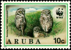 Stamp, Burrowing Owl (Speotyto cunicularia), Aruba,  , Birds, WWF, Birds of Prey, Owls, Animals (Fauna)