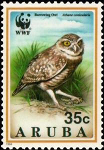 Stamp, Burrowing Owl (Speotyto cunicularia), Aruba,  , Birds, WWF, Birds of Prey, Owls, Animals (Fauna)