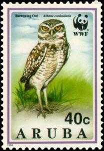 Stamp, Burrowing Owl (Speotyto cunicularia), Aruba,  , Birds, WWF, Birds of Prey, Owls, Animals (Fauna)