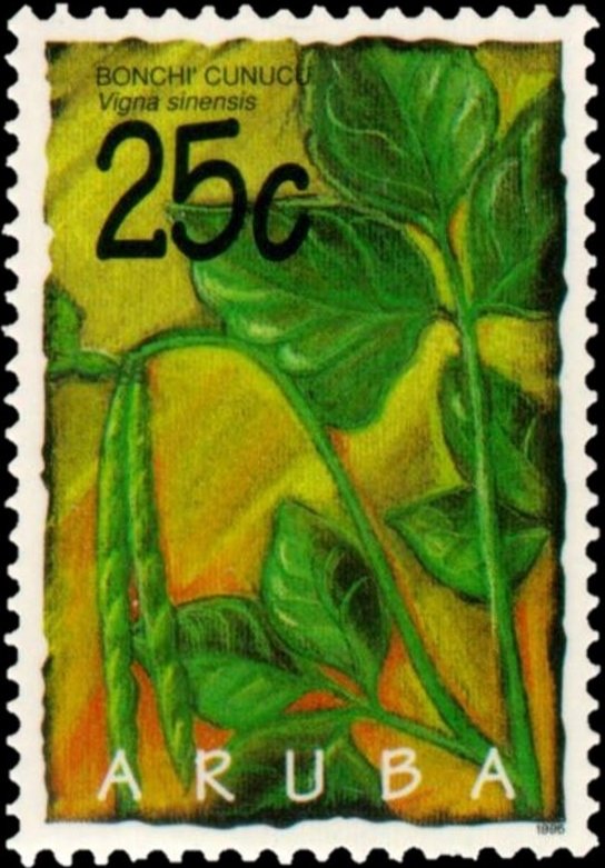 Vigna sinensis