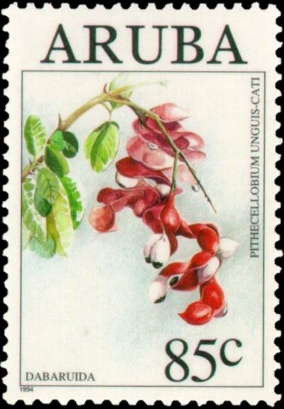 Pithecellobium unguis-cati