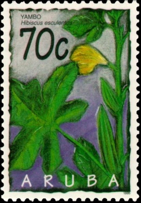 Hibiscus esculentus