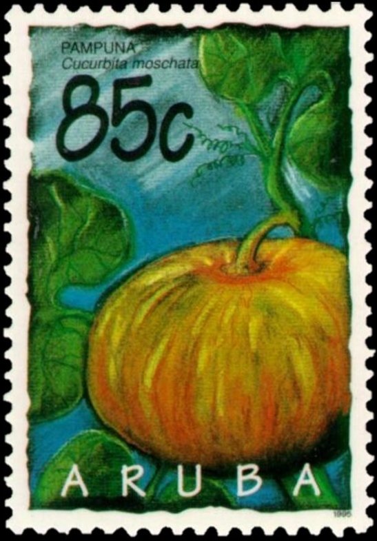 Cucurbita moschata