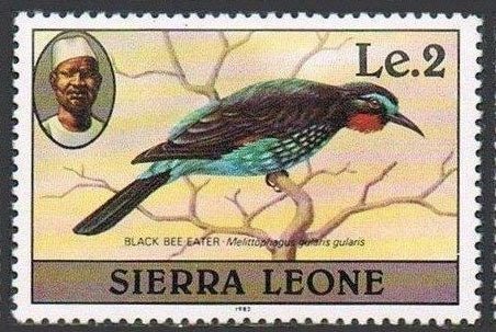 Black Bee-eater (Merops gularis)