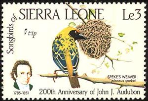 Stamp, Speke's Weaver (Ploceus spekei), Sierra Leone,  , Birds, Animals (Fauna)