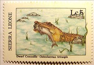 Stamp, Dwarf Crocodile (Osteolaemus tetraspis), Sierra Leone,  , Crocodiles