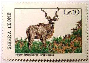 Stamp, Kudu (Tragelaphus strepsiceros), Sierra Leone,  , Animals (Fauna)
