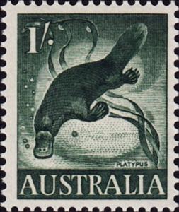 Stamp, Duck-billed Platypus (Ornithorhynchus anatinus), Australia,  , Mammals, Animals (Fauna)