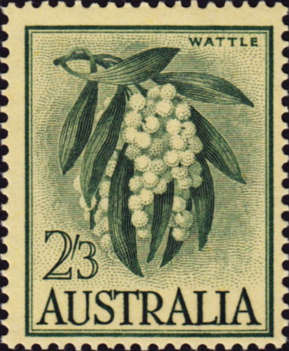 Wattle