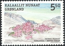 Edible Plants of Greenland