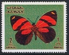 Sorana Eighty-eight (Callicore sorana)